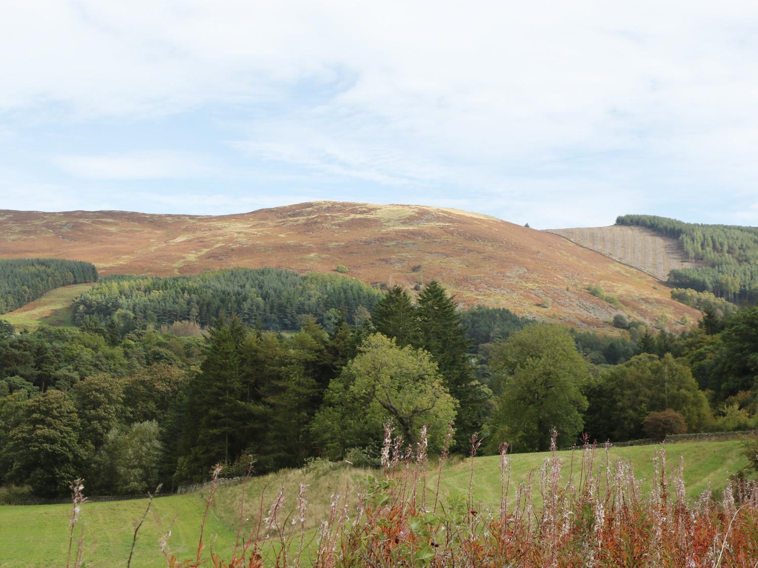 East Lodge Walkerburn المظهر الخارجي الصورة
